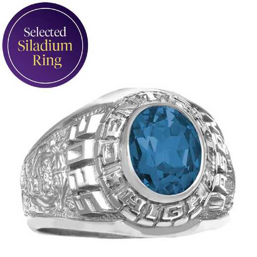 Men's Customizable Traditional Class Ring with Oval Stone - Champion