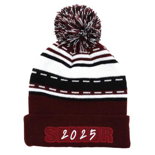 2025 Pom Pom Beanie