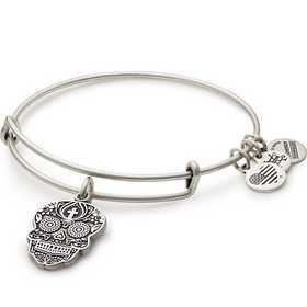 alex and ani skull bracelet