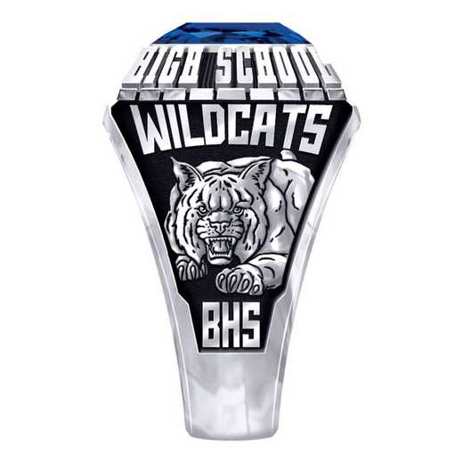 Men's Bloomburg High School Official Ring