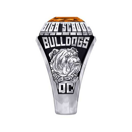 Men's Queen City High School Official Ring