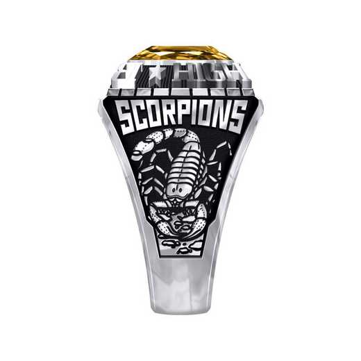Women's Boswell High School Official Ring
