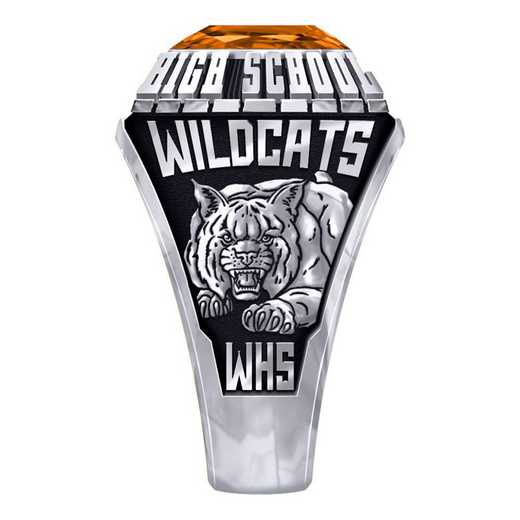 Men's Winona High School Official Ring