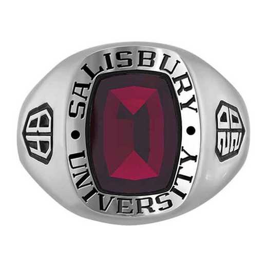 Salisbury University Men's Seahawk College Ring