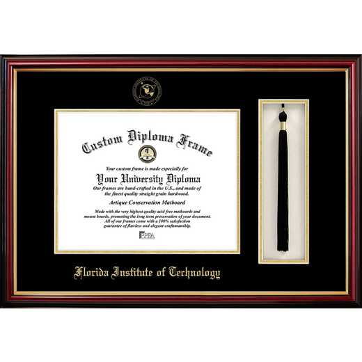 FL599PMHGT: FIT 11w x 8.5h Tassel Box and Diploma Frame