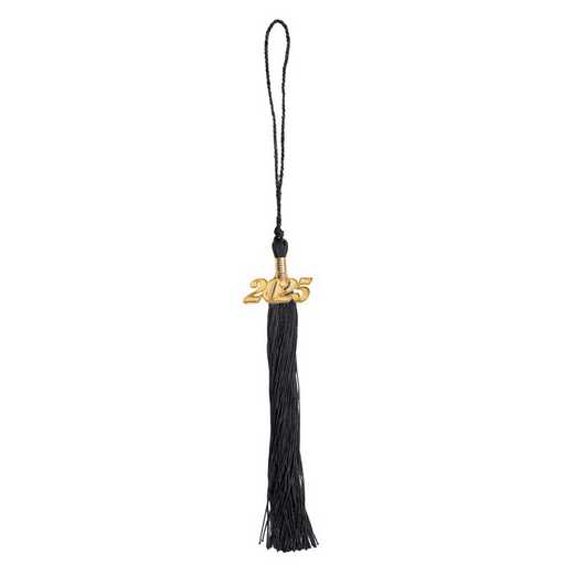 GSL 8040: Other Grad Product: Souvenir Tassel