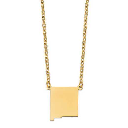 XNA706Y-NM: 14K Yellow Gold NM State Pendant with chain