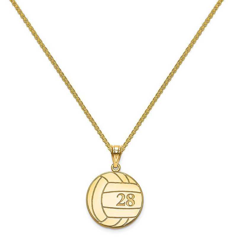 XNA696GP-QSP035G-18: Gold Plated/SS Laser Volleyball Number And Name Pendant