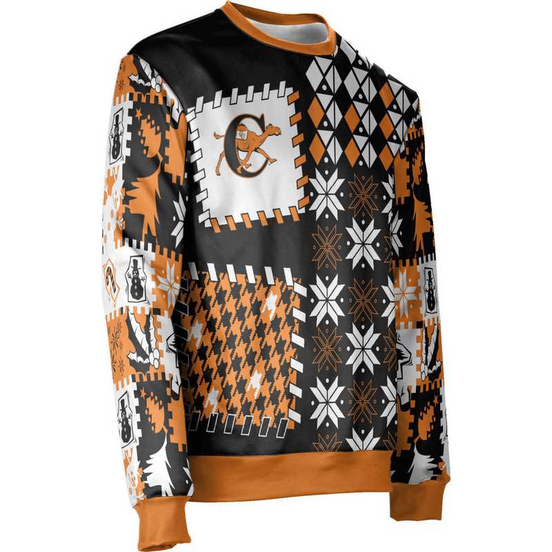 campbell university hoodie